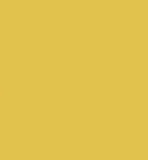 Hustle at 5pm Paint Yellow & Orange Paint Hustle at 5pm Paint Yellow & Orange Paint Hustle at 5pm Paint Yellow & Orange Paint Hustle at 5pm Paint Yellow & Orange Paint Hustle at 5pm Paint Yellow & Orange Paint
