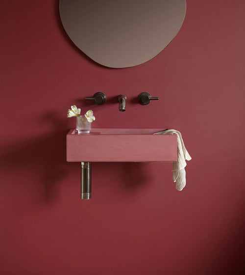 Dragon's Blood Paint Statement Hue Paint