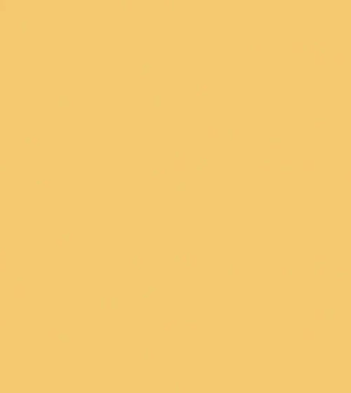 Goldfinch Paint Yellow & Orange Paint Goldfinch Paint Yellow & Orange Paint Goldfinch Paint Yellow & Orange Paint Goldfinch Paint Yellow & Orange Paint Goldfinch Paint Yellow & Orange Paint Goldfinch Paint Yellow & Orange Paint Goldfinch Paint Yellow & Orange Paint Goldfinch Paint Yellow & Orange Paint