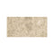 Ceppo Beige 60 x 120