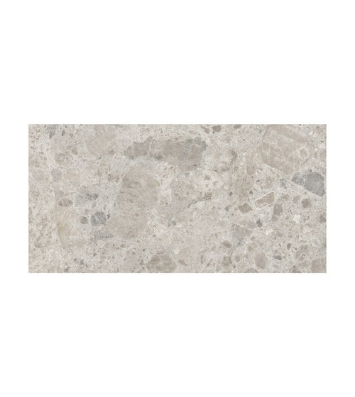 Ceppo Gris 60 x 120 Terazzo Floor Tiles Ceppo Gris 60 x 120 Terazzo Floor Tiles