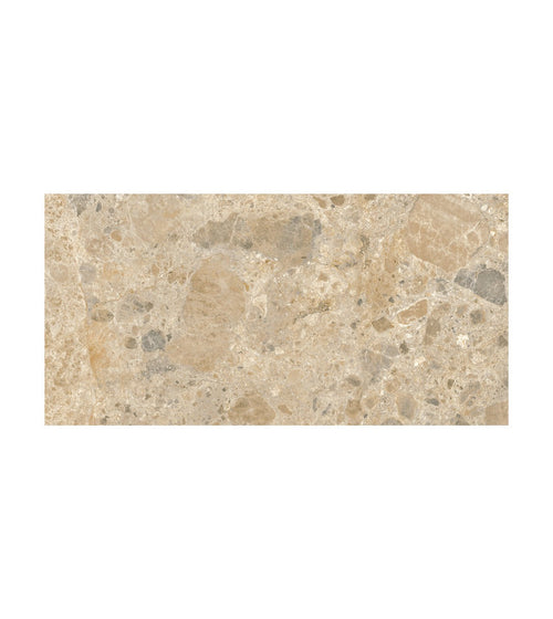 Ceppo Mix 60 x 30 Terazzo Floor Tiles Ceppo Mix 60 x 30 Terazzo Floor Tiles Ceppo Mix 60 x 30 Terazzo Floor Tiles