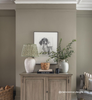 Eggshell / 2.5L Dark Paint [