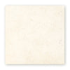 60cm x 60cm Bathroom Floor Tiles [