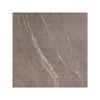 59.7 x 59.7 cm Bathroom Floor Tiles [