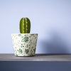 Eggshell / 2.5L Blue Paint [