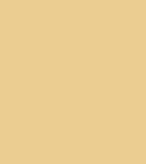Sienna Earth Earthy Tone Paint Sienna Earth Earthy Tone Paint