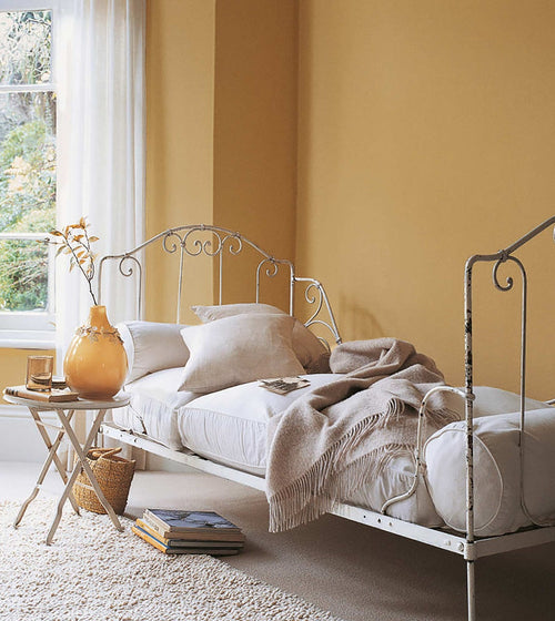 Sienna Earth Earthy Tone Paint