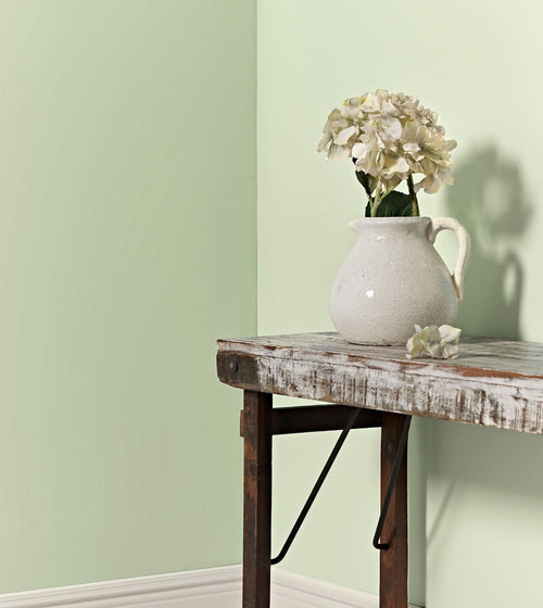 Summer Lichen Green Paint