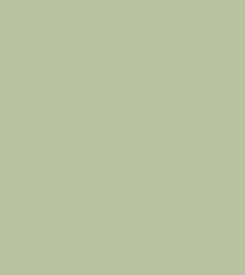 Sweet Cicely Green Paint Sweet Cicely Green Paint