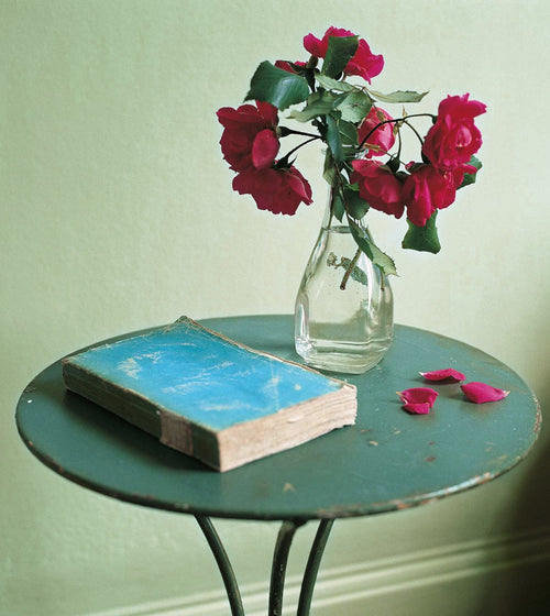 Sweet Cicely Green Paint
