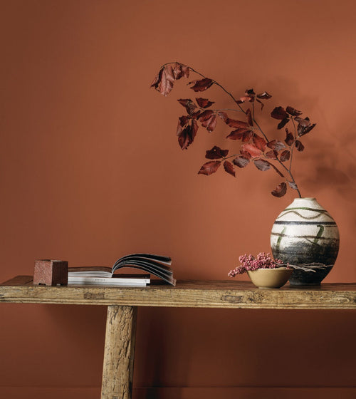 Taos House Earthy Tone Paint
