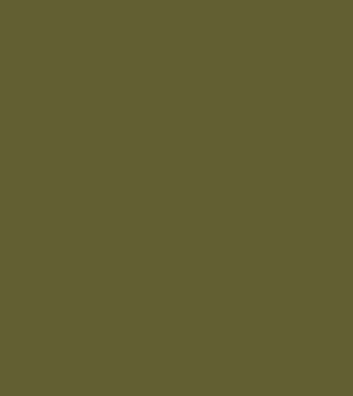 Wild Olive Dark Paint Wild Olive Dark Paint Wild Olive Dark Paint Wild Olive Dark Paint Wild Olive Dark Paint