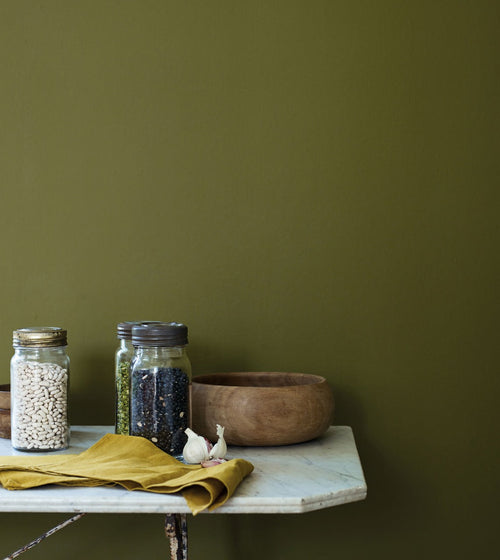 Wild Olive Dark Paint