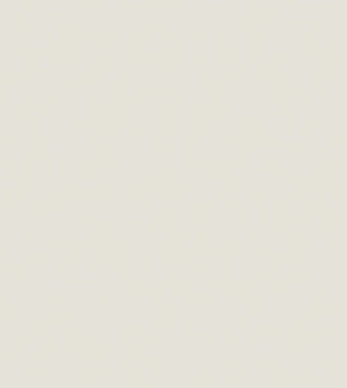 Alabaster Paint Cream & Neutral Paint Alabaster Paint Cream & Neutral Paint Alabaster Paint Cream & Neutral Paint Alabaster Paint Cream & Neutral Paint