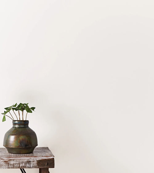 Bianco Paint Cream & Neutral Paint Bianco Paint Cream & Neutral Paint