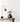 Eggshell / 2.5L Cream & Neutral Paint bianco paint