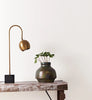 Eggshell / 2.5L Cream & Neutral Paint [