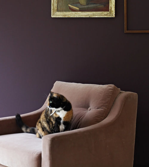 Carragheen Paint Products