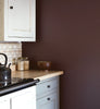 Eggshell / 2.5L Dark Paint [
