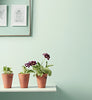 Eggshell / 2.5L Green Paint [