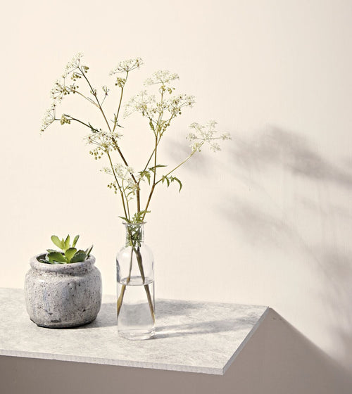 Chalk White Paint Products