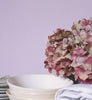 Eggshell / 2.5L Cream & Neutral Paint [