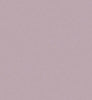 Eggshell / 2.5L Cream & Neutral Paint [