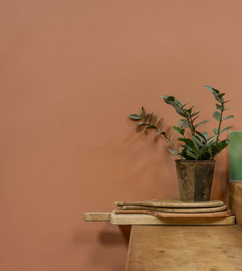 Pompeiian Red Statement Hue Paint