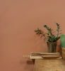 Eggshell / 2.5L Earthy Tone Paint [