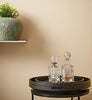 Eggshell / 2.5L Cream & Neutral Paint [