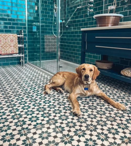 Infusion Amparo Patterned Tile