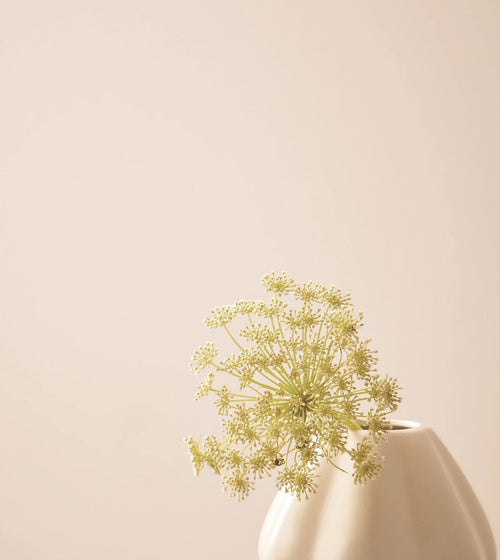 Manna Ash Paint Reds, Pinks and Purples