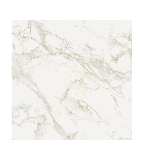 Milos White - 80 x 80 Modern Bathroom Tiles Milos White - 80 x 80 Modern Bathroom Tiles Milos White - 80 x 80 Modern Bathroom Tiles Milos White - 80 x 80 Modern Bathroom Tiles Milos White - 80 x 80 Modern Bathroom Tiles Milos White - 80 x 80 Modern Bathroom Tiles Milos White - 80 x 80 Modern Bathroom Tiles