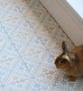 Default Title Bathroom Floor Tiles Nina Campbell Goa Aqua Ochre Porcelain Tile thumbnail