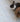 Default Title Bathroom Floor Tiles Nina Campbell Goa Aqua Ochre Porcelain Tile
