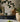 Default Title Bathroom Floor Tiles Nina Campbell Goa Indigo Chocolate Porcelain Tile