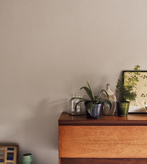 Oak Apple Paint Earthy Tone Paint Oak Apple Paint Earthy Tone Paint Oak Apple Paint Earthy Tone Paint Oak Apple Paint Earthy Tone Paint