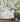 Default Title Bathroom Floor Tiles seaspray green stacked marble mosaic