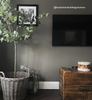 Eggshell / 2.5L Dark Paint [