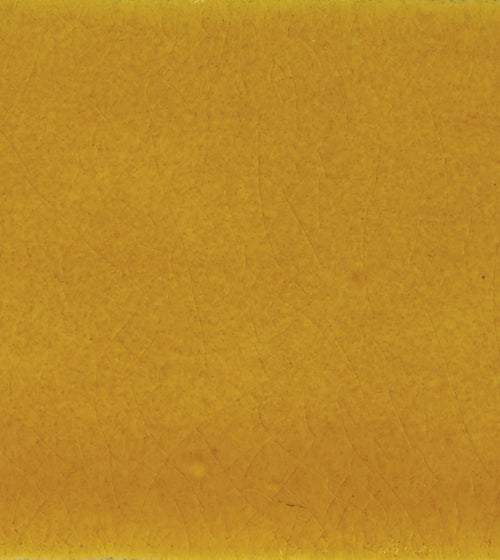 Carnival Oro