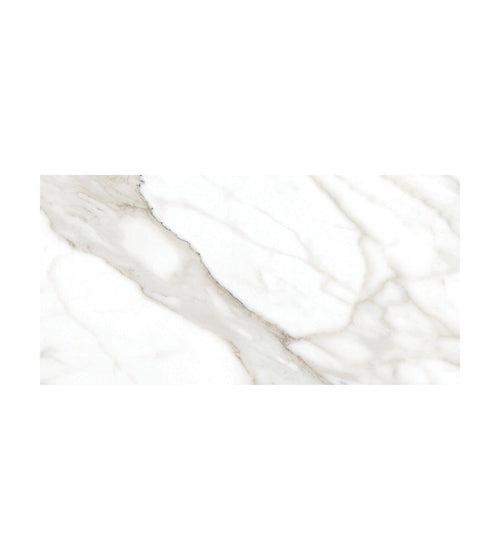 Lucca Calacatta Noble - 30 x 60