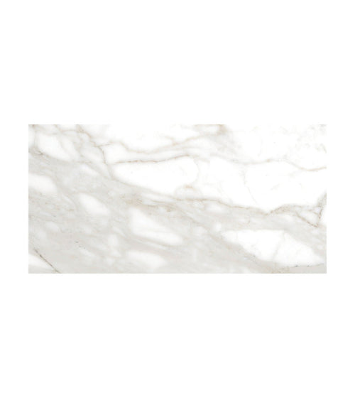 Lucca Calacatta Noble - 30 x 60