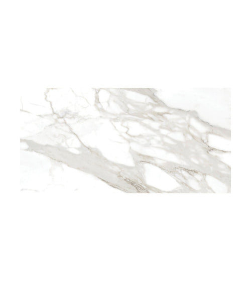 Lucca Calacatta Noble - 60 x 120