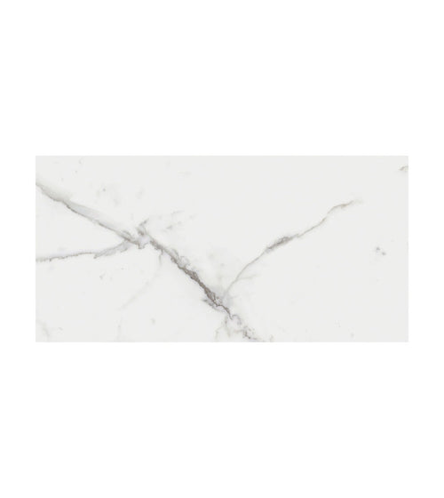 Lucca Statuario Venato - 60 x 120