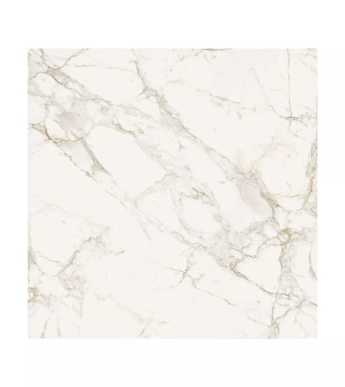 Milos White - 80 x 80