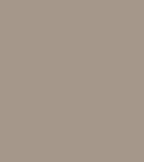 Morchella Wall & Ceiling Paint Morchella Wall & Ceiling Paint Morchella Wall & Ceiling Paint