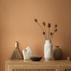 Eggshell / 2.5L Earthy Tone Paint [