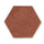 Reclaimed Terracotta Hexagon