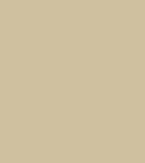 Stone Ochre 50ml Sample Pot Products